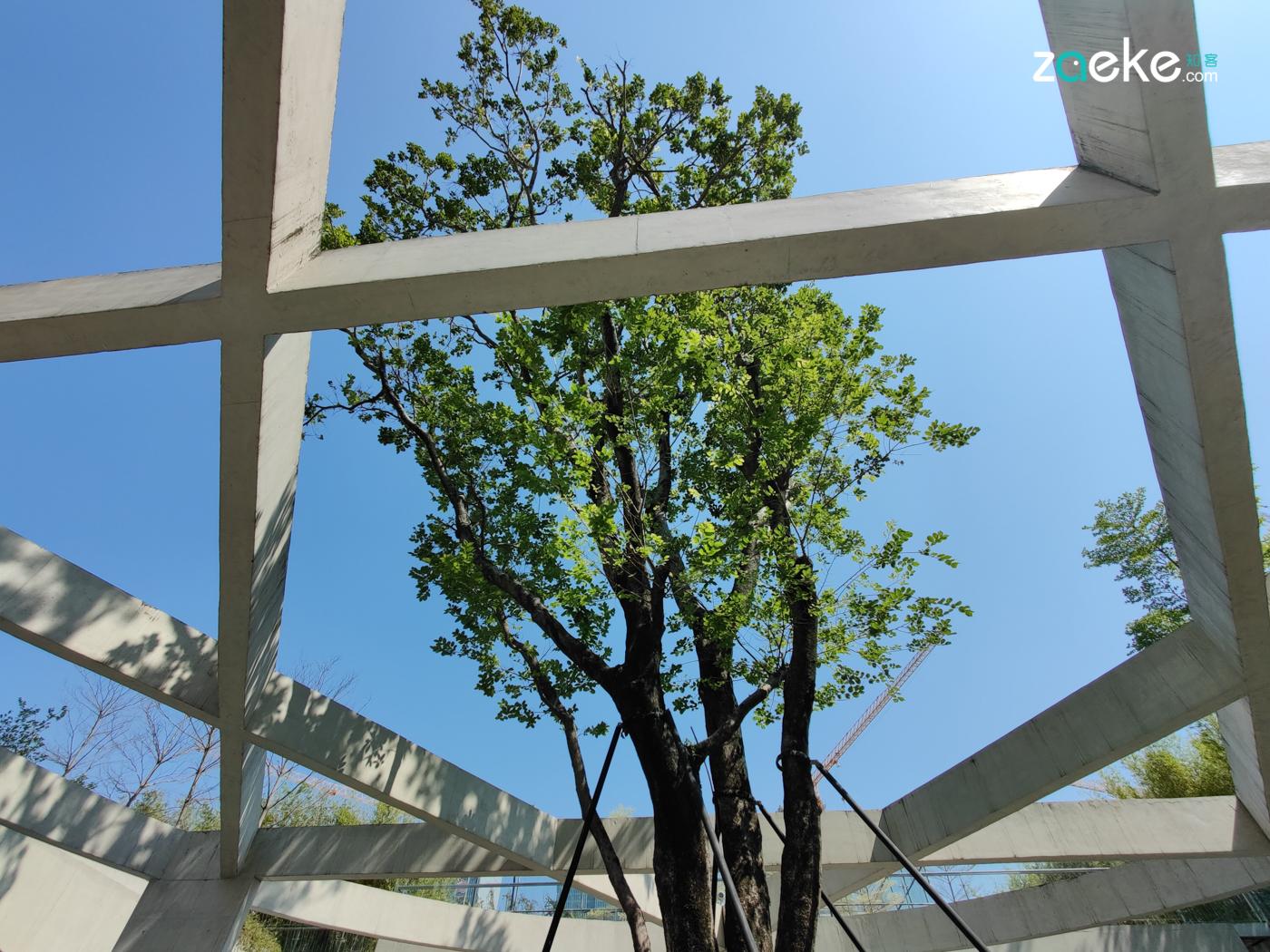 顶级三摄撑场面oppofindx2pro再秀拍照表现