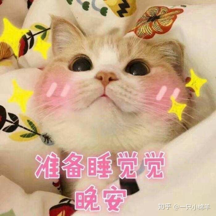 v2-fc19ba0c509e66684691da8a8596297d_r.jpg