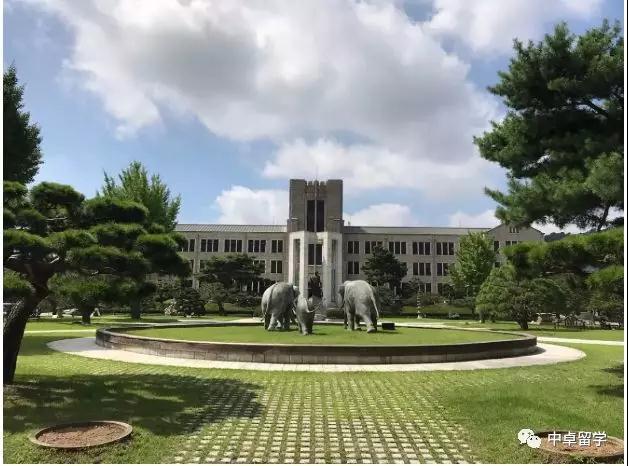 韩国东国大学 知乎