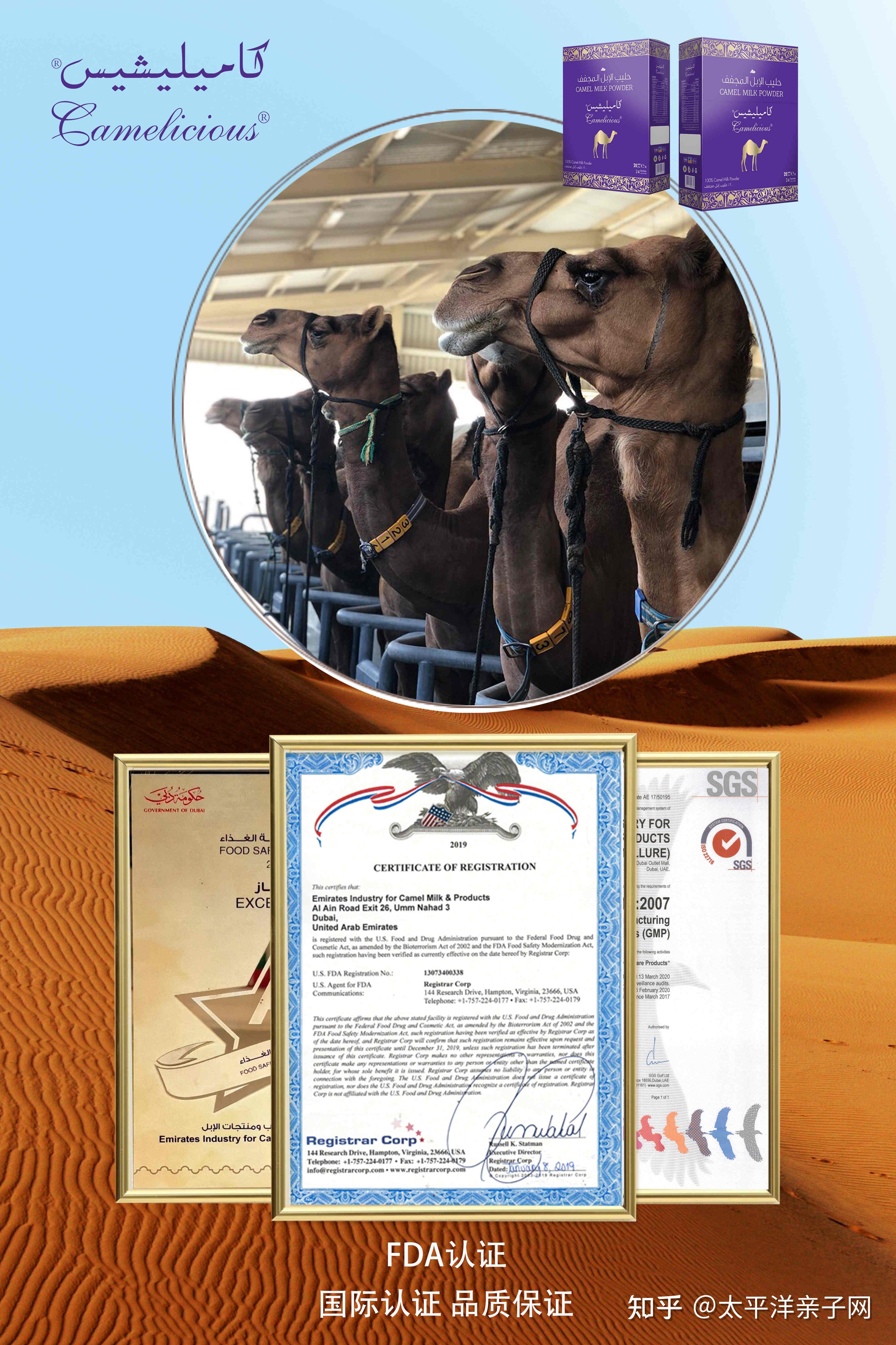天猫618全球品牌动起来！荷兰奶山羊、迪拜皇家骆驼在加油“产奶” - 中国日报网