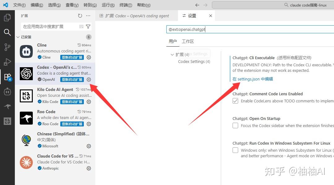 2026 最新Mac 安装 Codex CLI 教程：API Key 配置到模型调用全流程配置 - 知乎