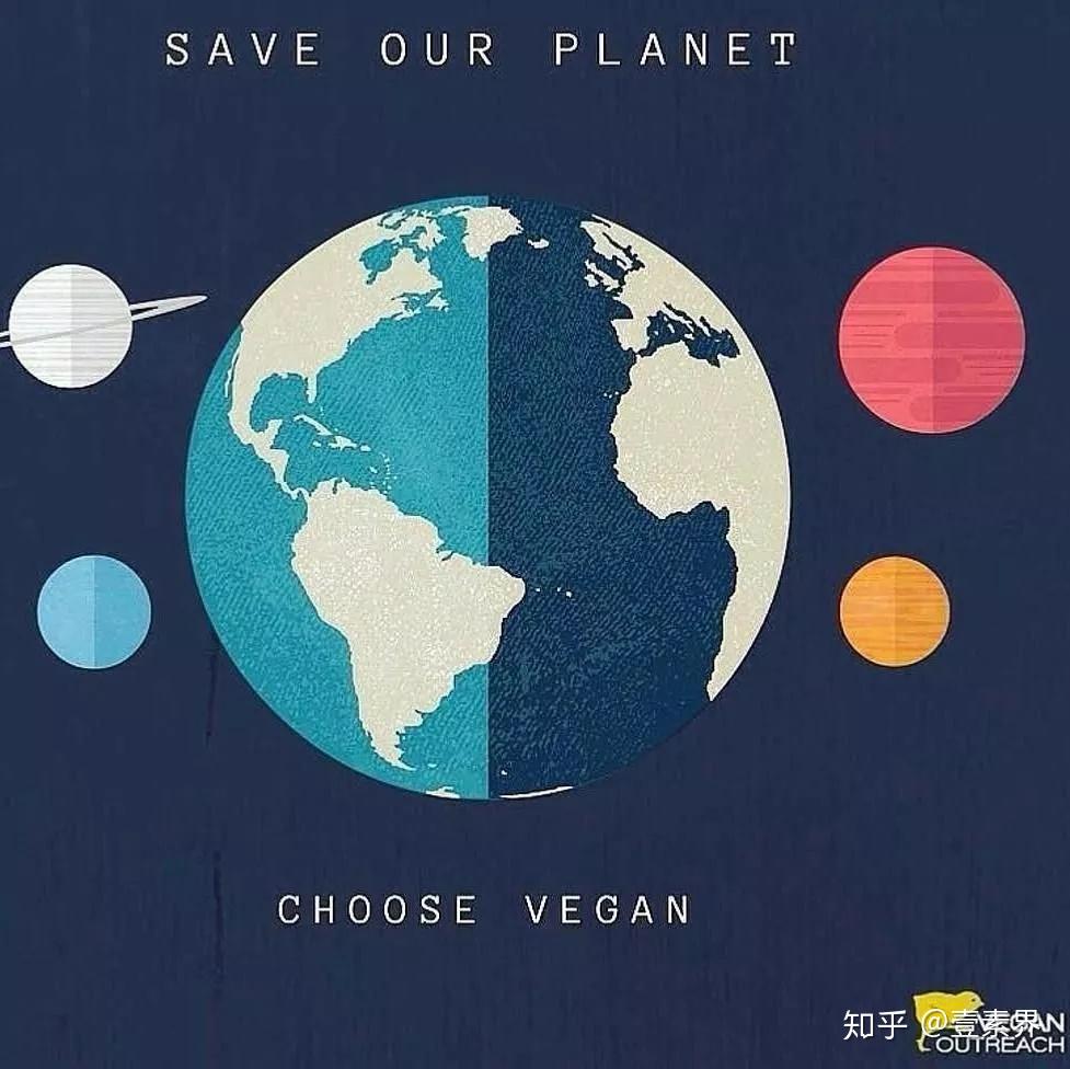 握刀二十年不杀生不会当总裁的演员不是一个好厨师