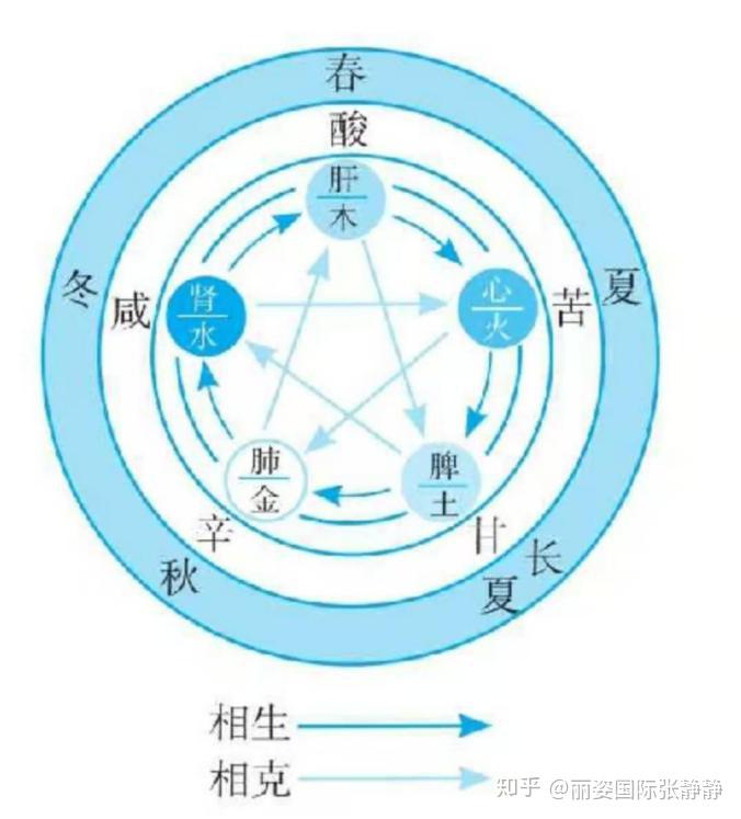 局部與整體,以及人與外界環境的相互關係;用五行