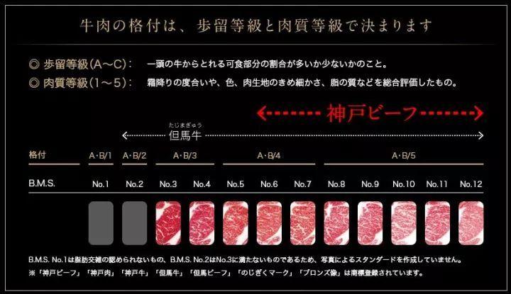 新西兰牛肉等级图片