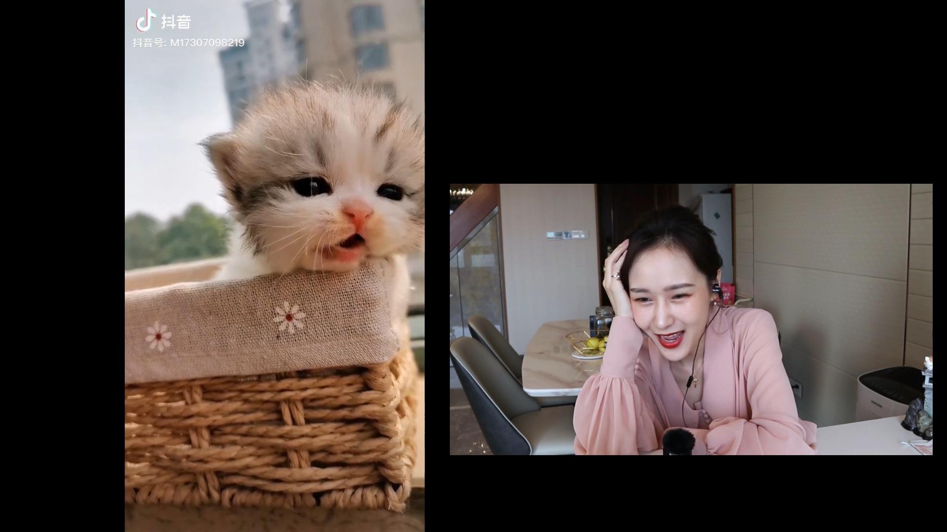 67关注关于抖推猫一些个人看法 发布于 昨天 11