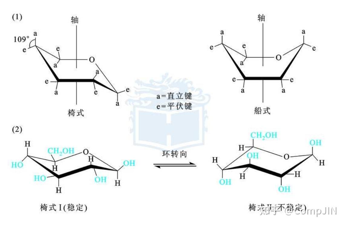Ccho 糖类Saccharide ~甘兎へようこそ☆~【CCHO笔记】 - 知乎