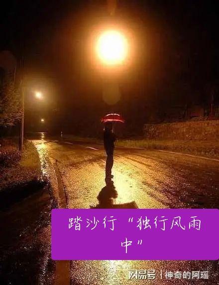 踏   莎   行   〔独行风雨中