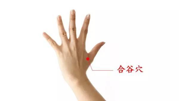 一, 面口合谷收