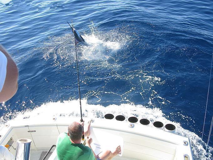 厦门游艇海钓出海航行