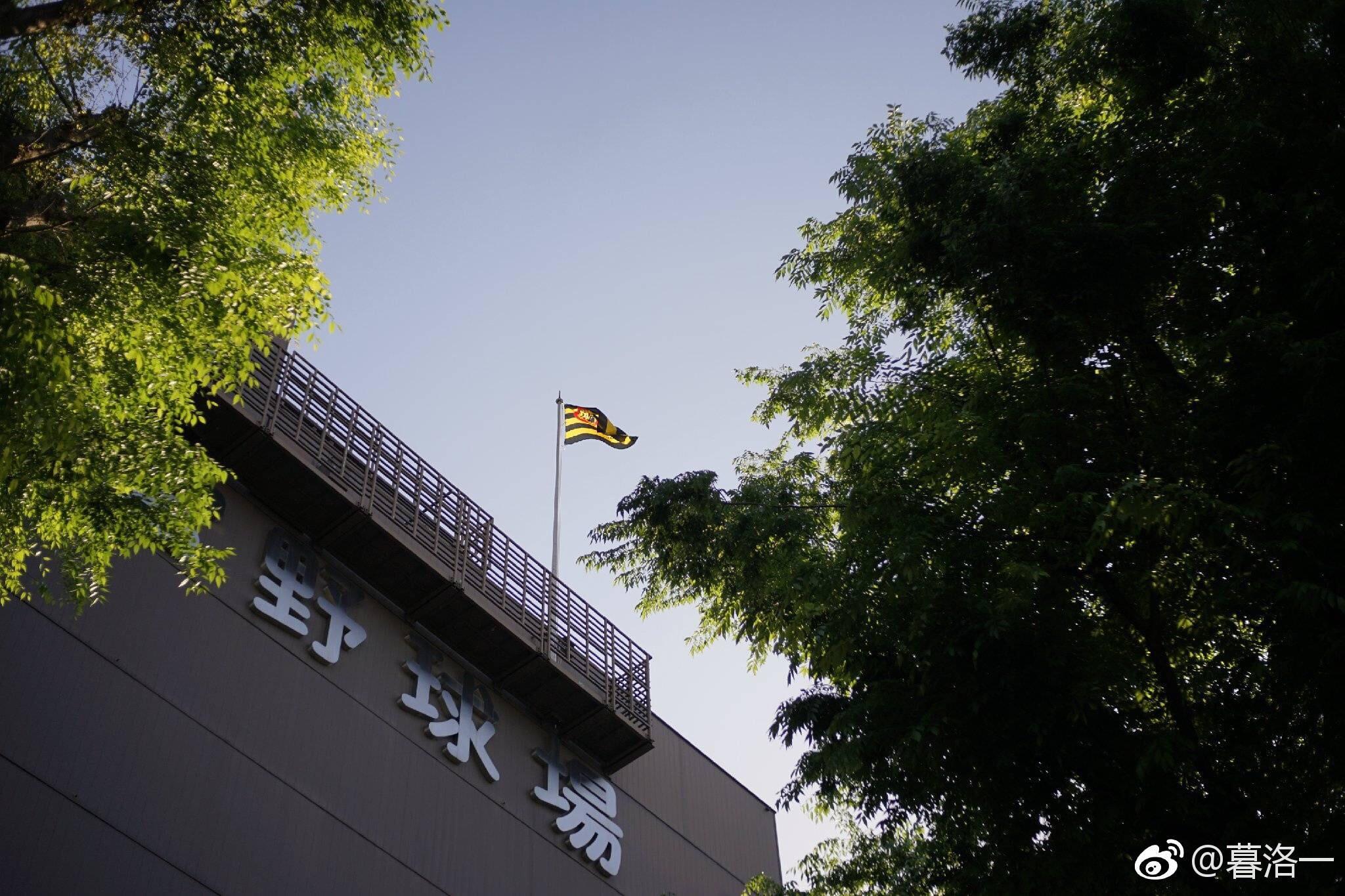 现场看npb(日本职业棒球联赛)是一种什么样的