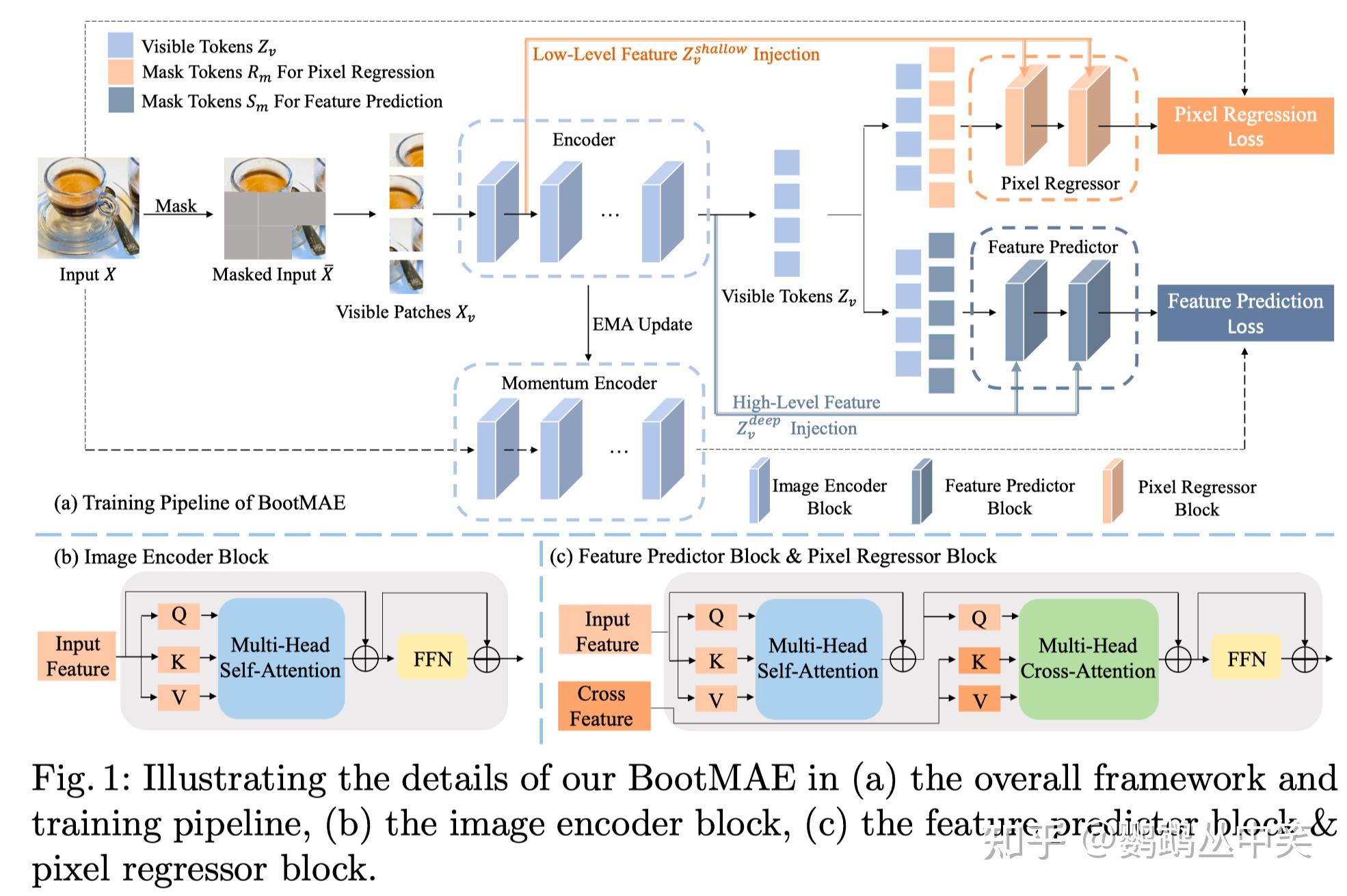 (2022 ECCV) BootMAE Bootstrapped Masked Autoencoders for Vision BERT