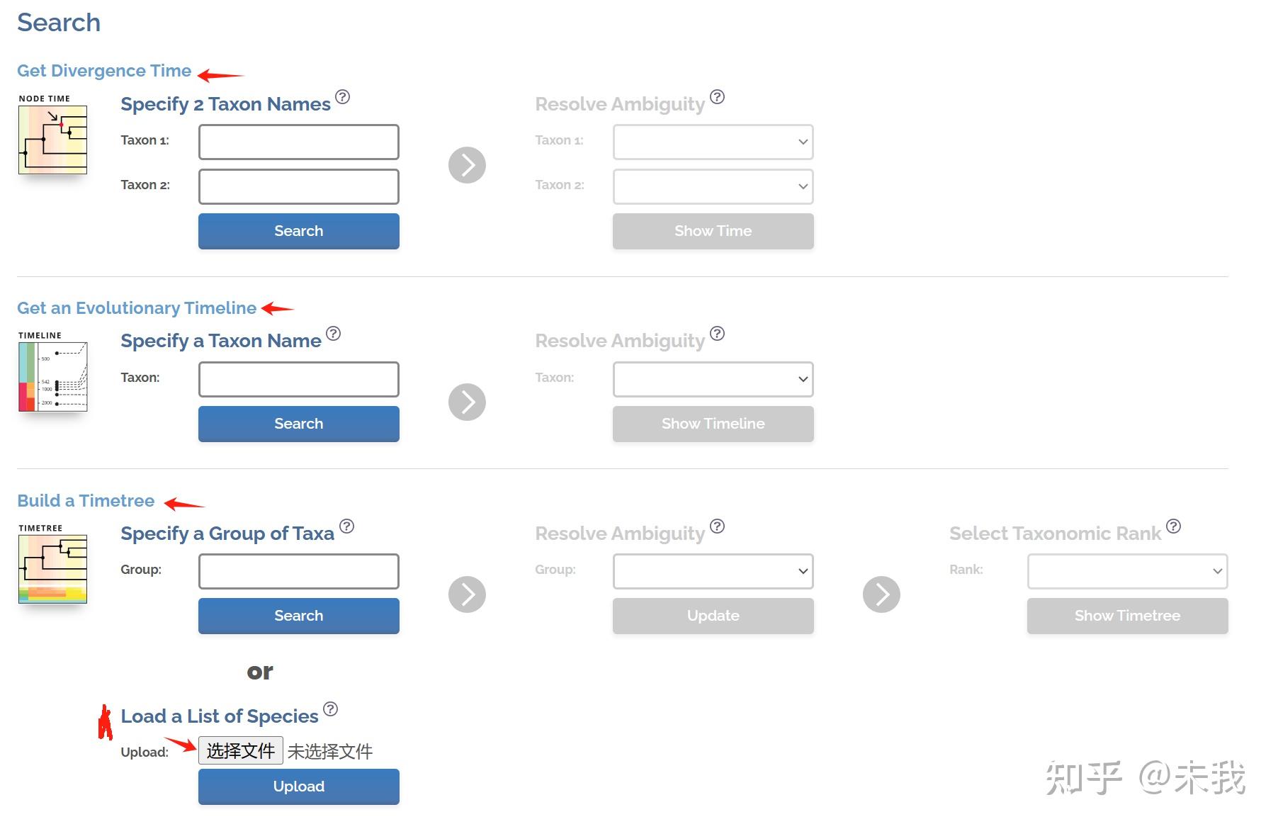 物种树构建 - 知乎