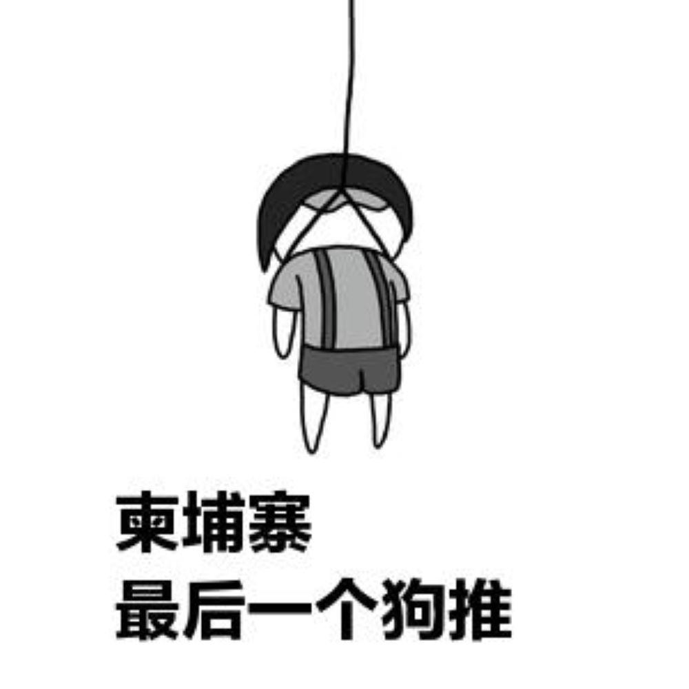 狗推们的生活不好过受害者的生活就好过了吗