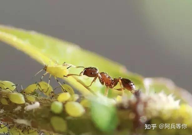 教就是最好的學生命演化認知模型生存結構和熵增定律