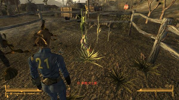 舌尖上的废土 3 荒野中的美味 知乎