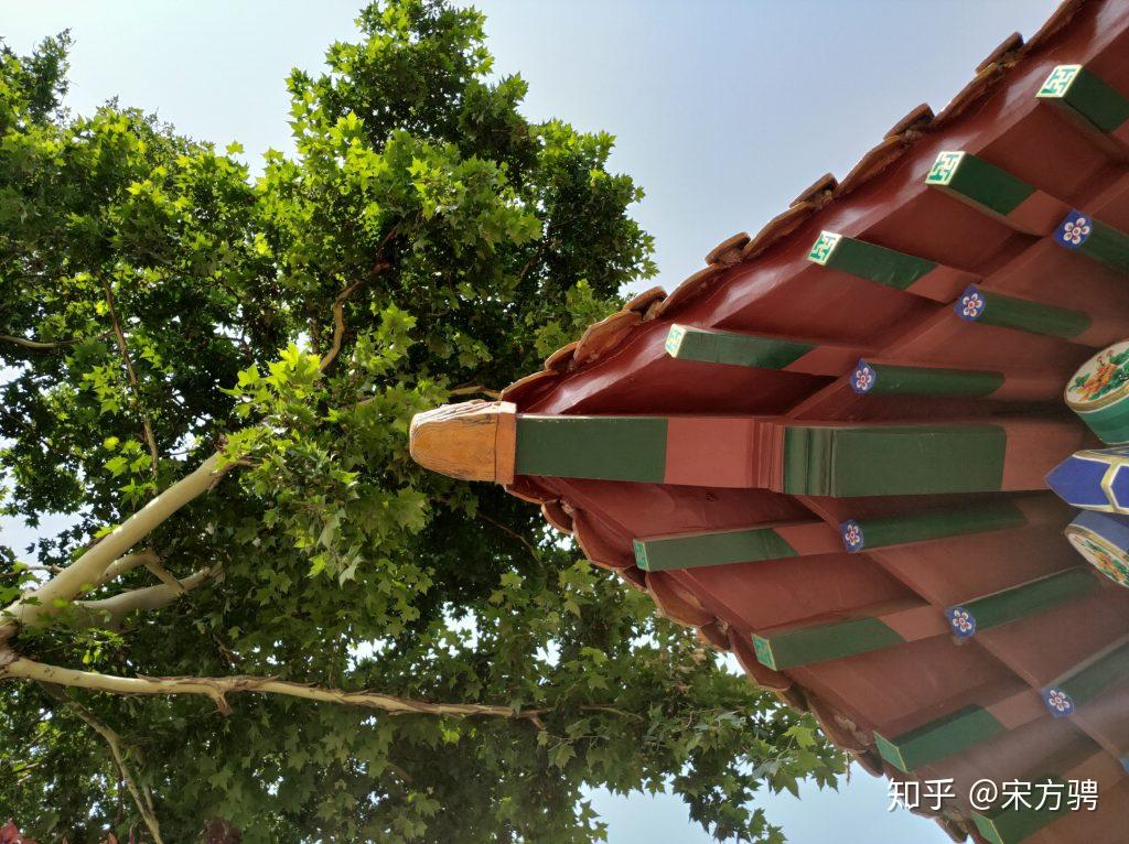 如何评价黑鲨游戏手机?