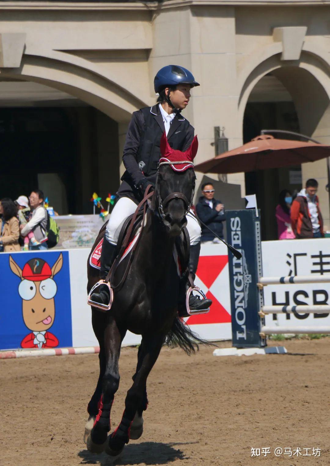 李奕辰我和马术的故事