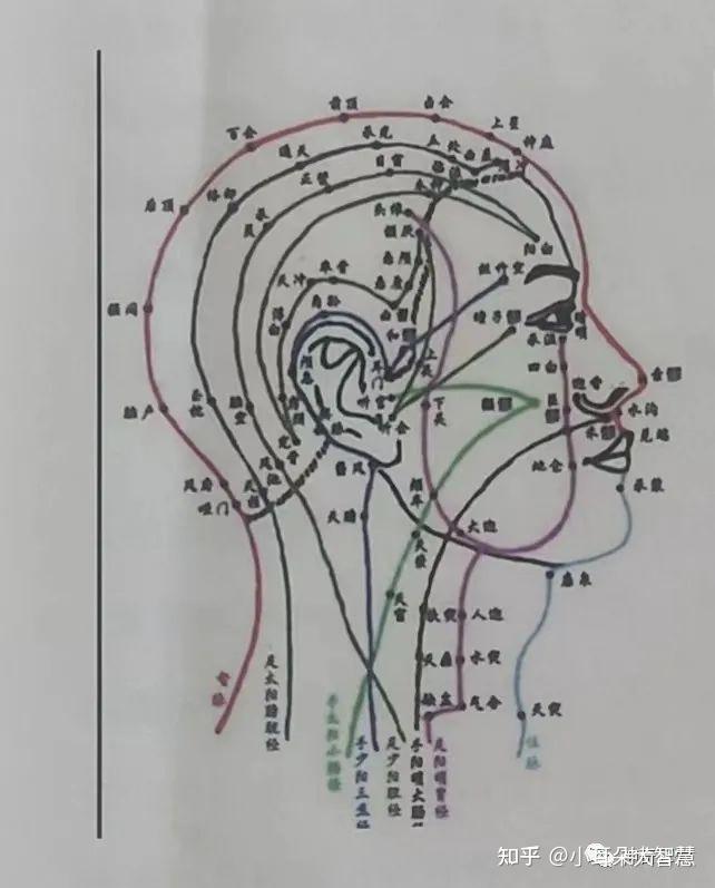 益康耳穴 耳穴疗法之耳穴机理