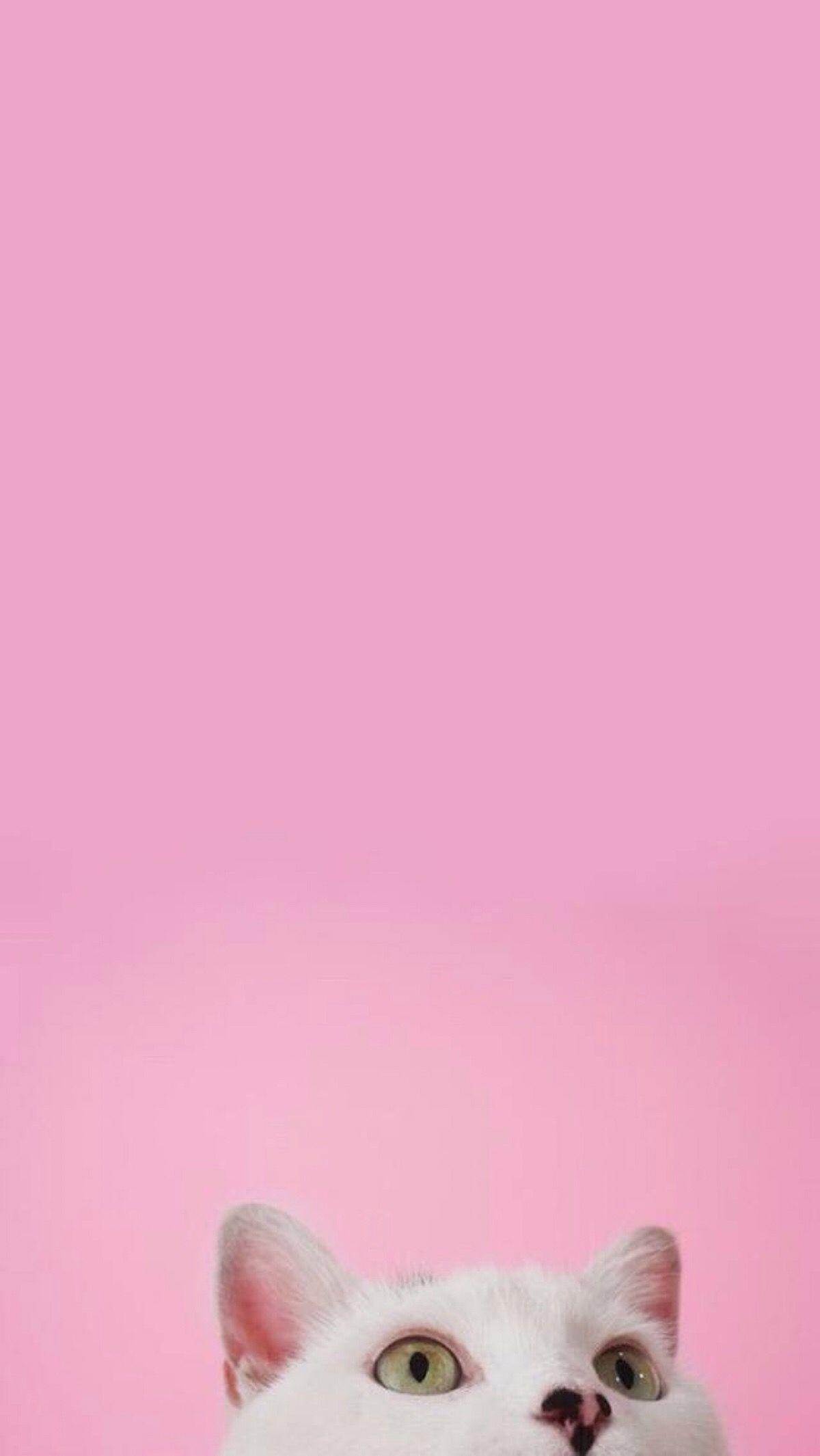 有哪些可爱的粉色手机壁纸？ - 知乎