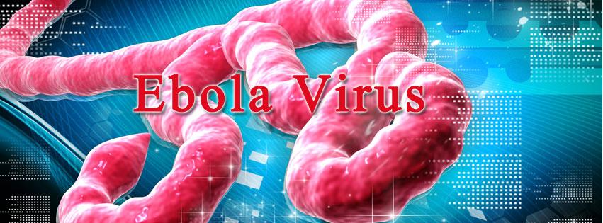 《战狼2》电影里的拉曼拉病毒原型,就是在非洲肆虐的埃博拉病毒