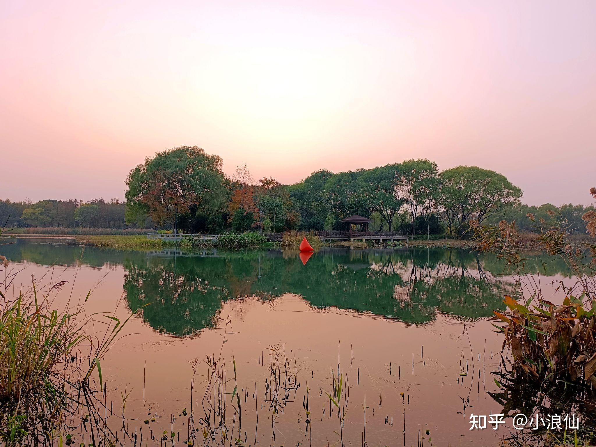 苏州虎丘湿地公园 - 知乎