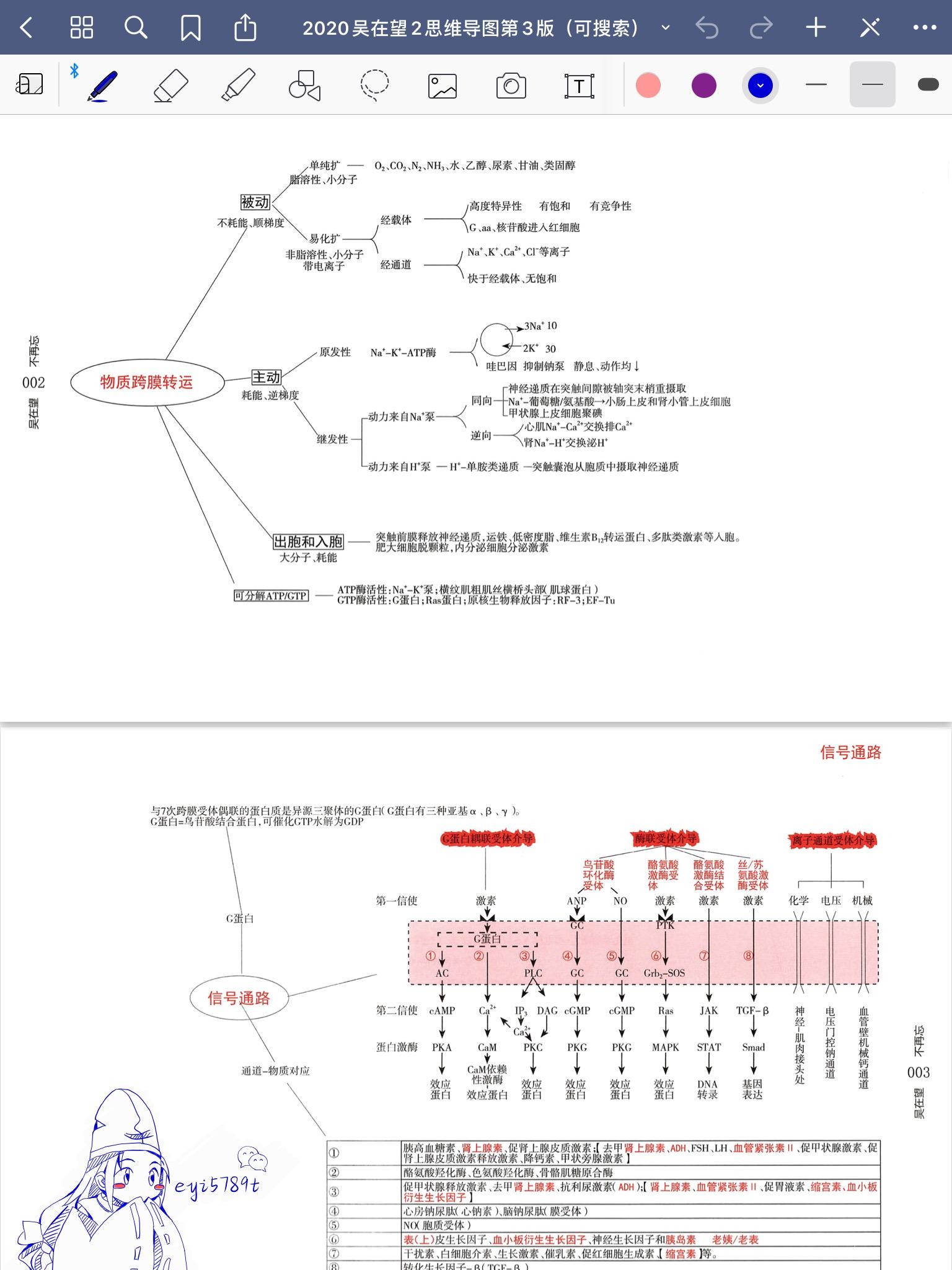 【ipad无纸化学习】goodnotes 2020吴在望2思维导图第3版pdf电子版