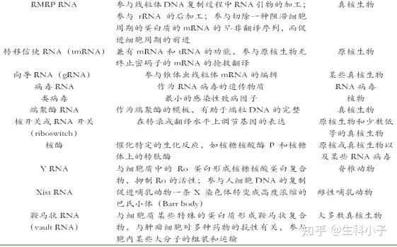 2,dna和rna的结构异同