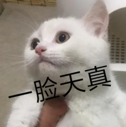 让50万国民死于新冠中国真可恶哦不我看错了是美国