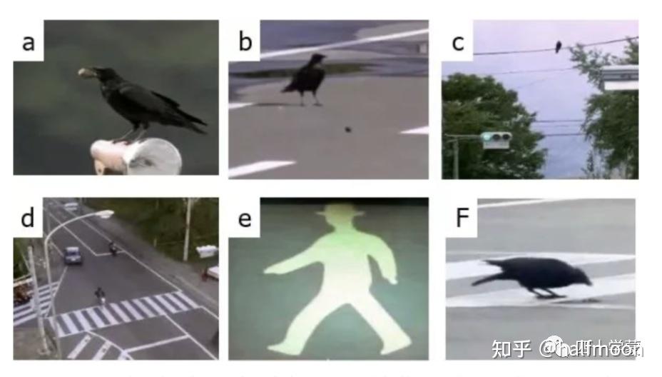 一文看清AI的边界,普通人在GPT时代还能坚持什么?插图2 一文看清AI的边界,普通人在GPT时代还能坚持什么?插图2
