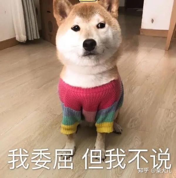 柴ばあと豆柴太 全巻