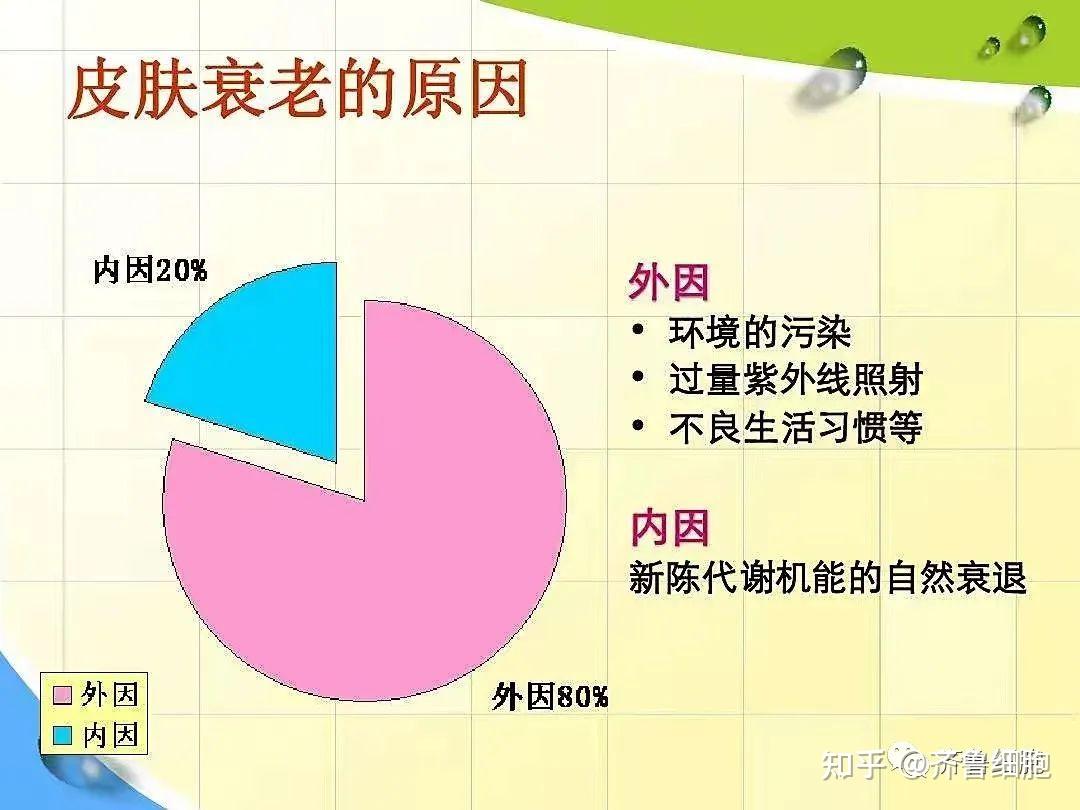 齐鲁健康：一文知晓干细胞抗衰！你想了解的干细胞抗衰知识这里都有！ - 知乎