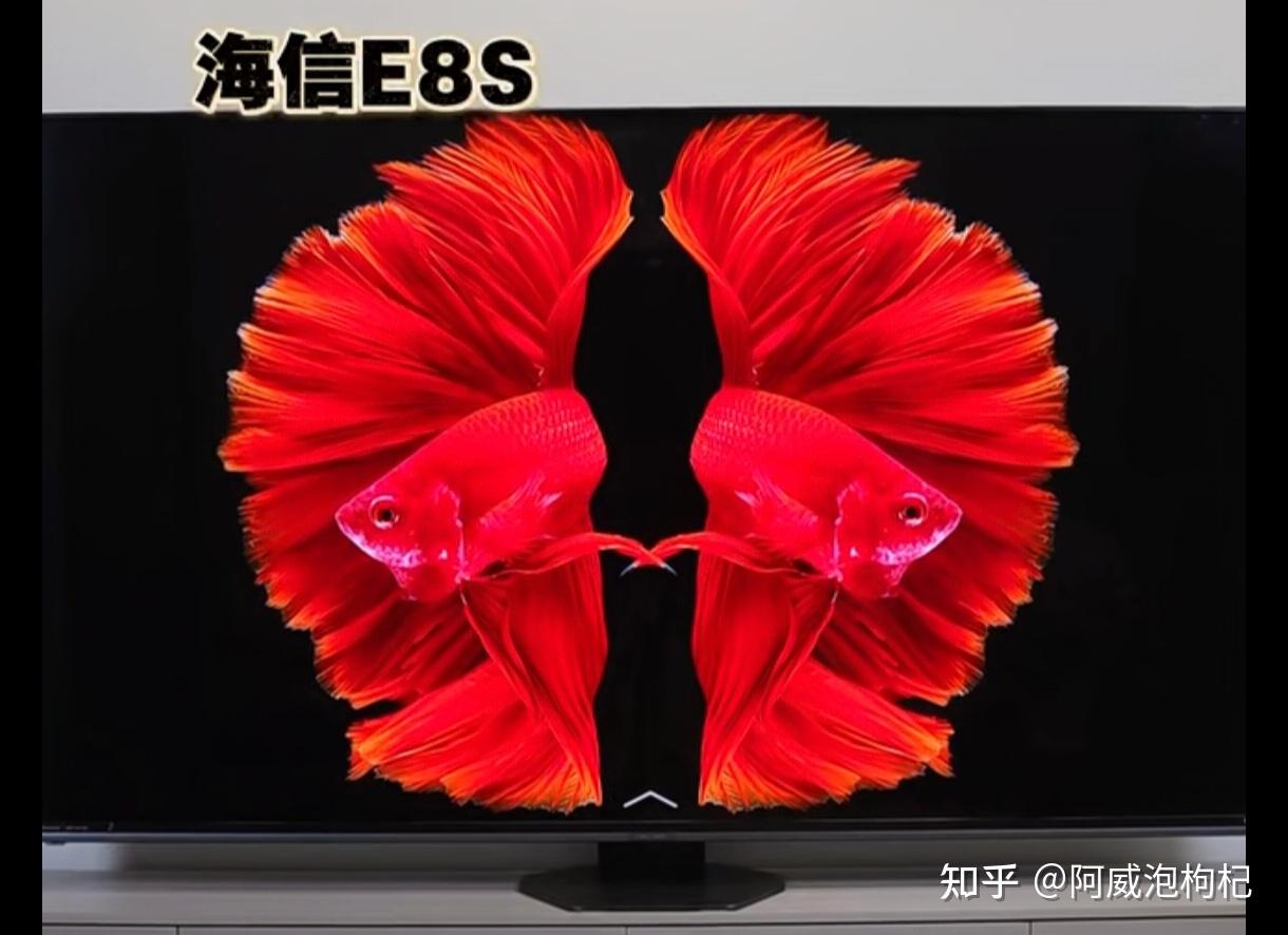 RGB-MiniLED对比SQD,海信电视E8S的“三原色直出”到底强在哪?是感知明显,还是参数胜利?
