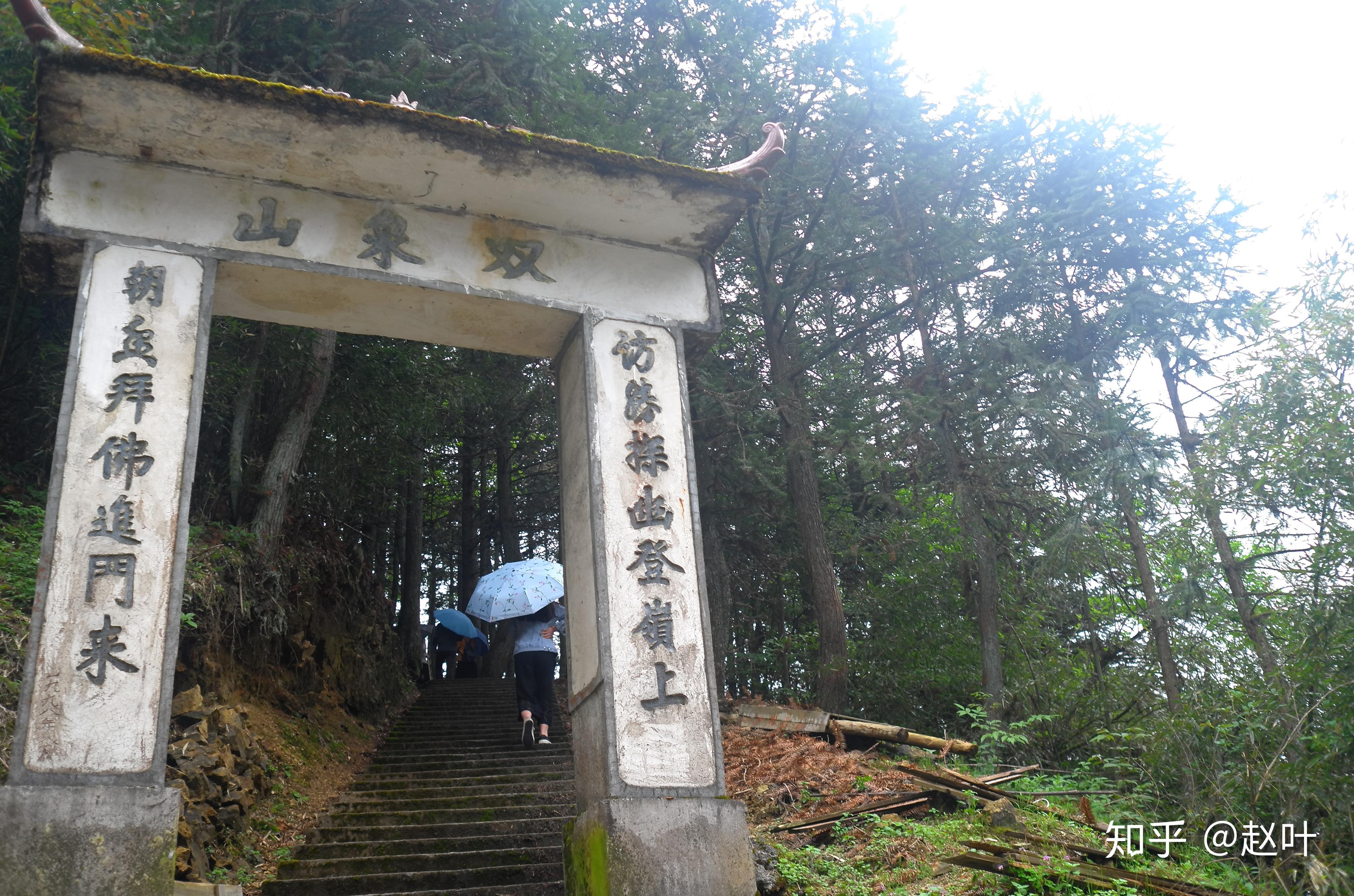 武夷山茶山游之桐木关