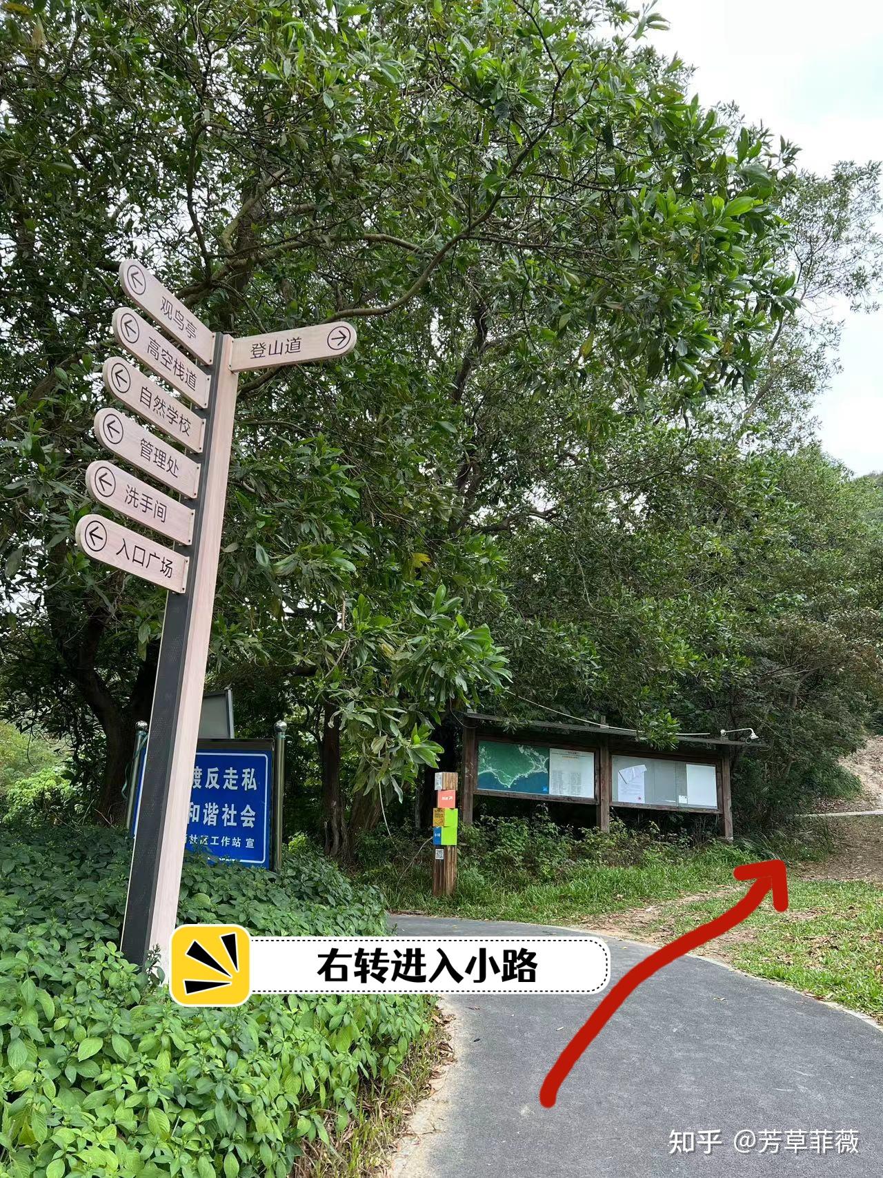 2025周末深圳好去处，深圳绿道徒步（持续更新中~） - 知乎