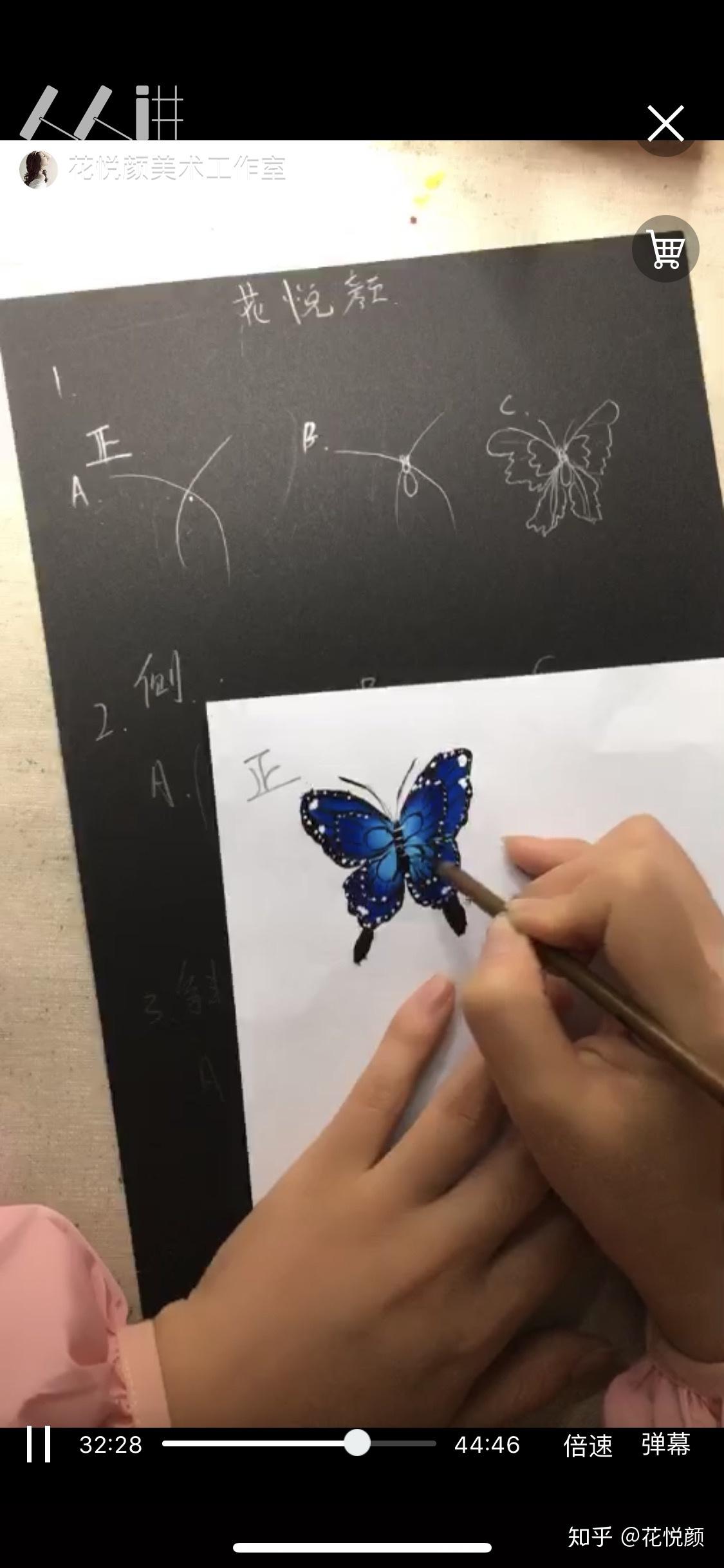 排笔手绘蝴蝶作品 - 知乎