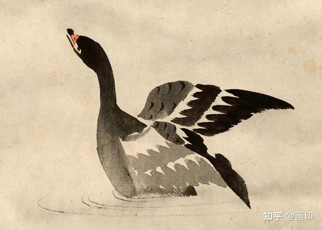 清边寿民芦雁图册十开