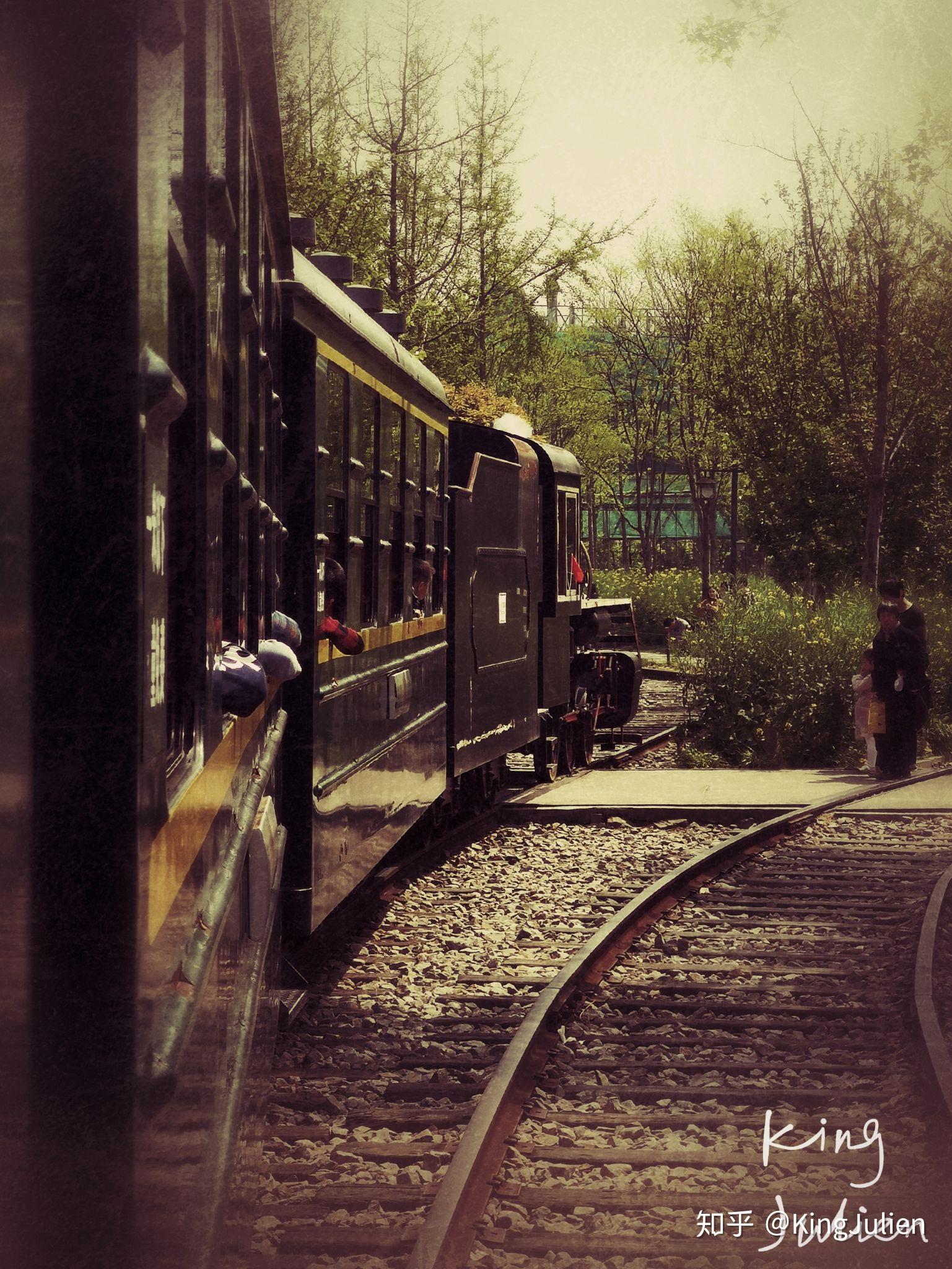 kingjulien的2019年拍车集锦