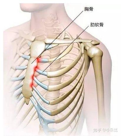 男性左侧胸疼痛位置图图片