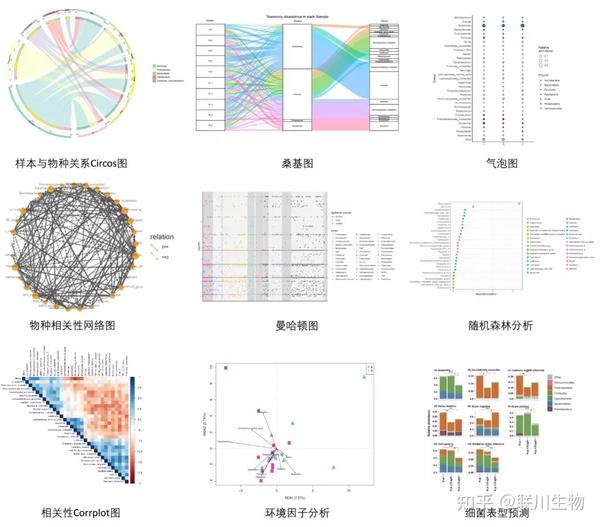 一篇医学微生物组16s测序文章必备的六张图 微生物专题 知乎