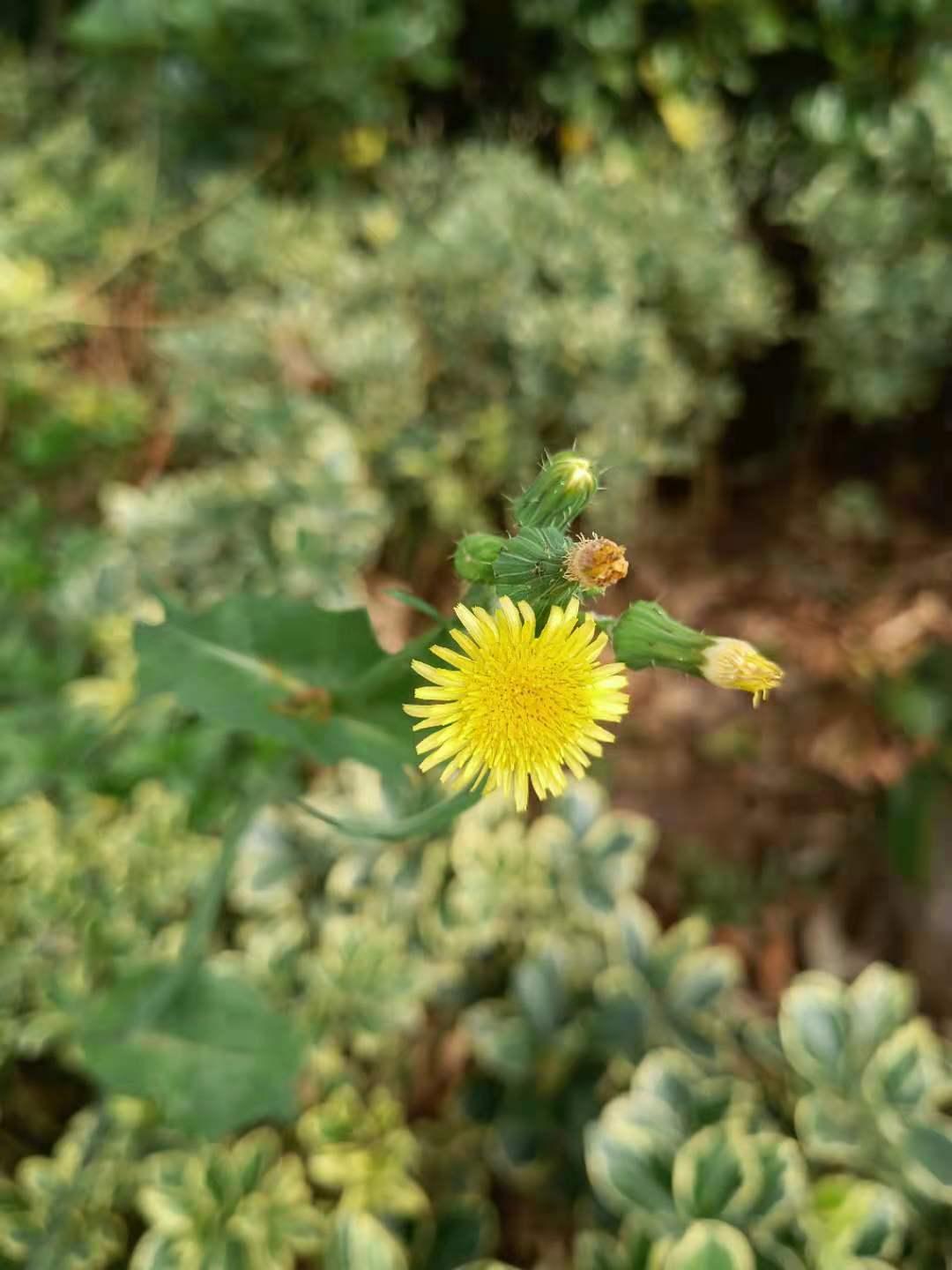 什么叫做碳达峰 v2-fd9292ff2ad544a1700d47468450c50f_1440w.jpg?source=172ae18b