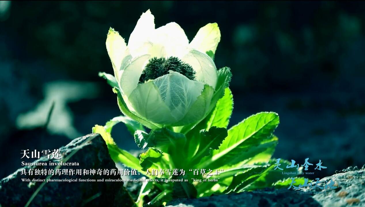 风险投资机构名录—鼎晖投资基金管理公司- 知乎