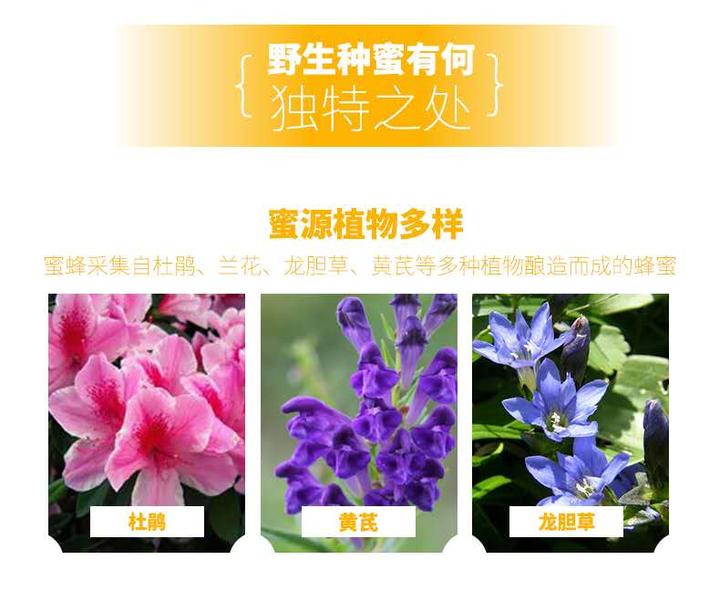 蜂蜜的功效及使用 知乎