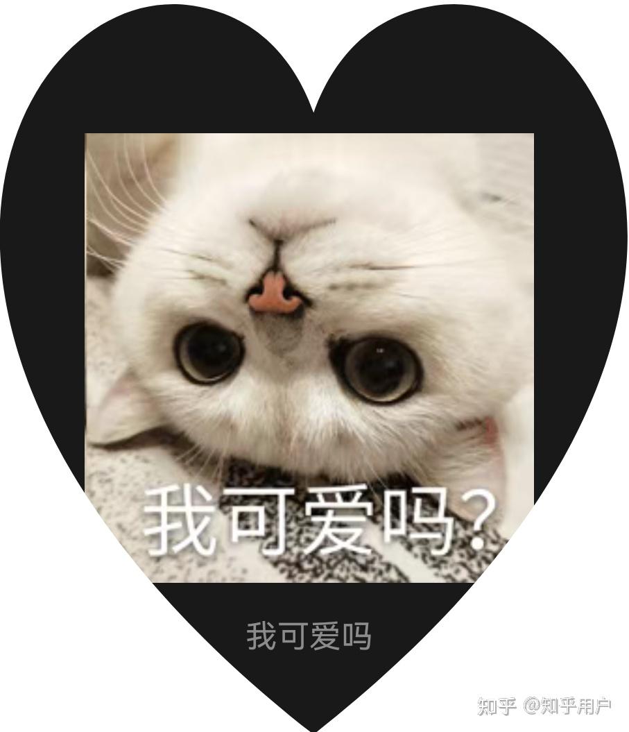 银渐层搞笑表情包大全来袭