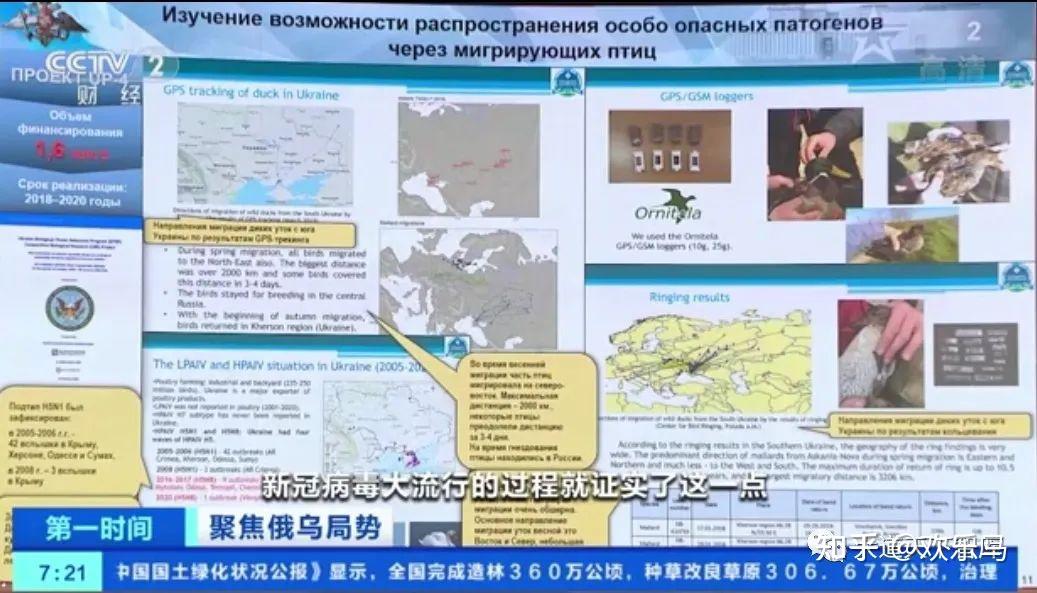 疑遭多重生化攻击朝鲜疫情大爆发日增17万