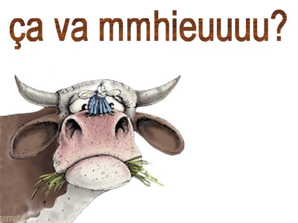 除此之外,还有一些关于下大雨的俗语表达:il pleut/ tombe des halle