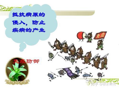 v2-fdbd4b6228e07631240ad14913d901e5_r.jpg