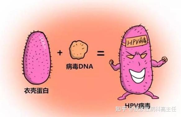 建議到醫院進行醋酸白試驗和tct檢查,進一步確認是不是尖銳溼疣和是否