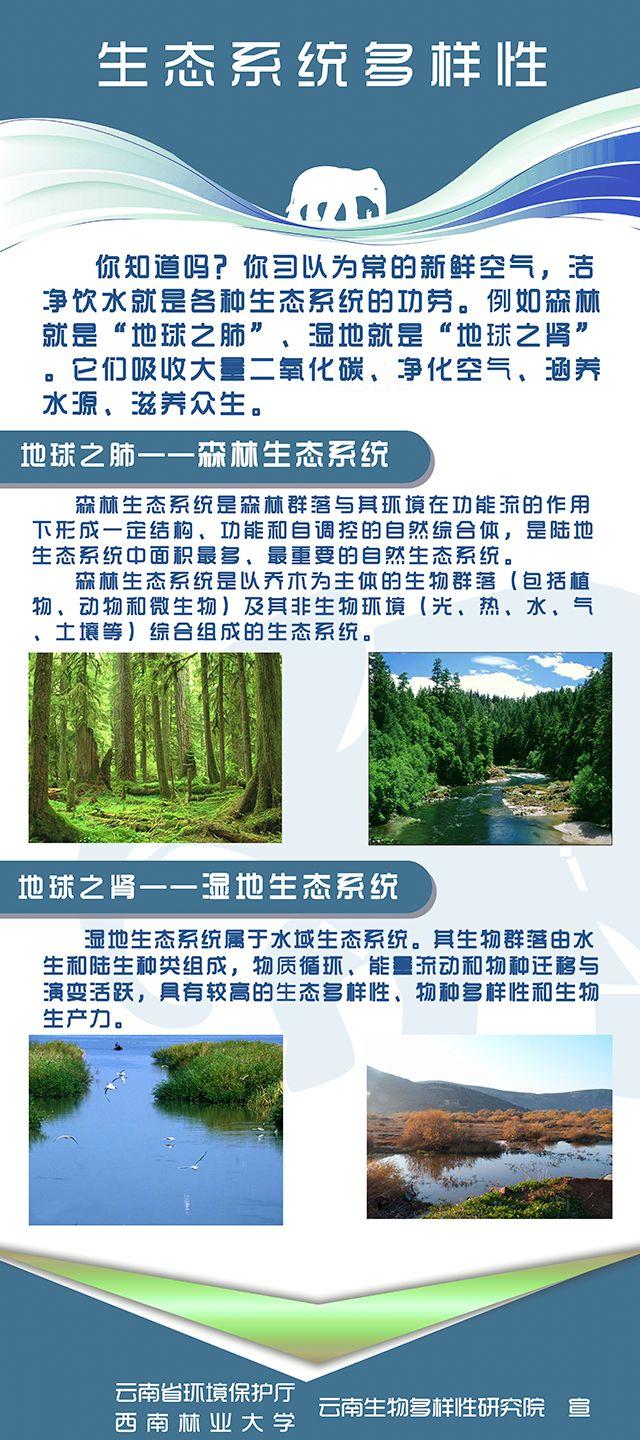 优秀生态环境宣传产品11保护生物多样性需要你的行动海报