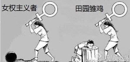 于女权主义的定义,与所谓的田园女权主义、