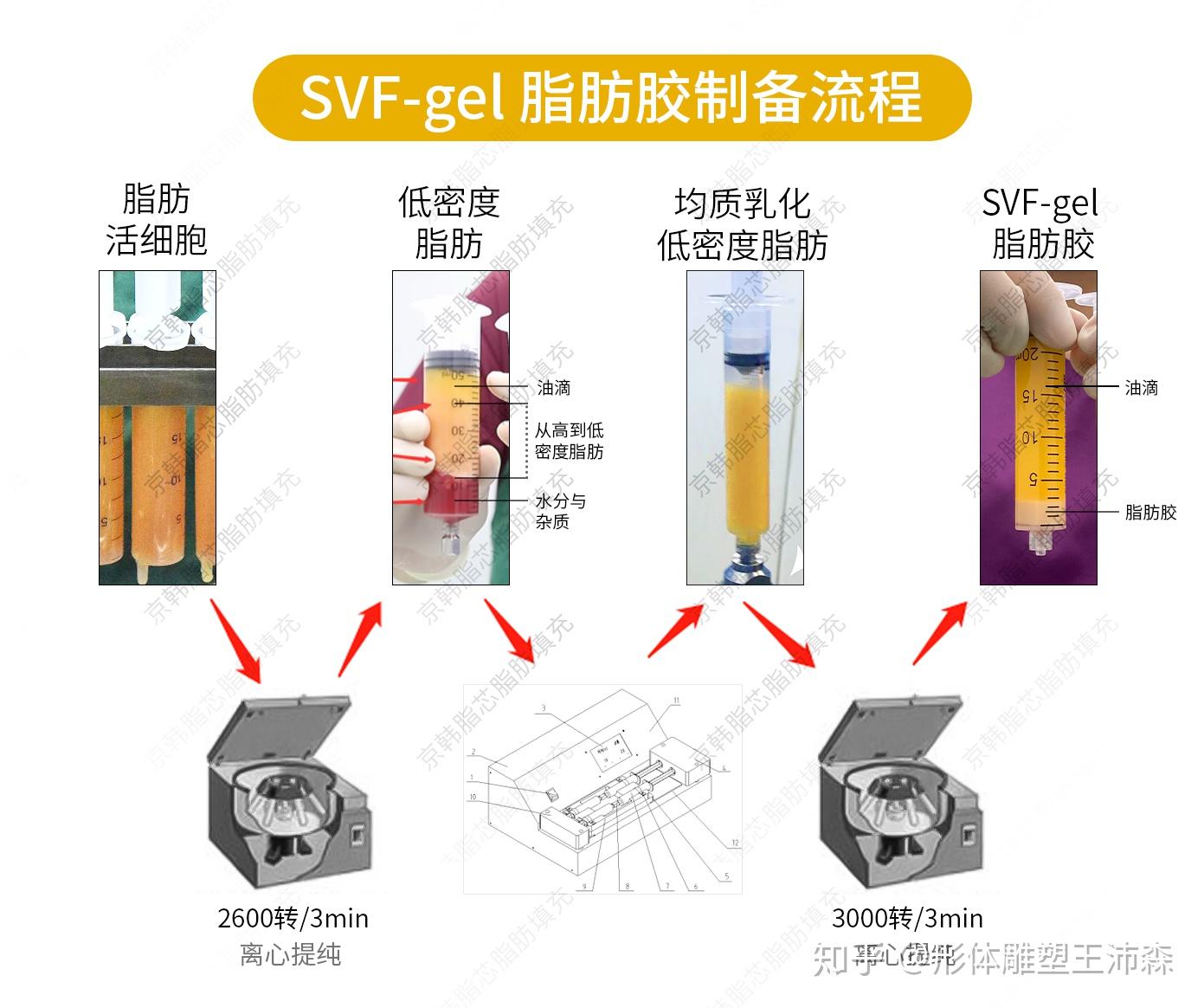 解析：SVF-GE脂肪胶用于做填充安全吗？ - 知乎